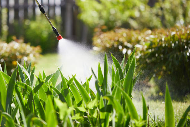 Tamper-Resistant Bait Stations for Rodents in Coronita