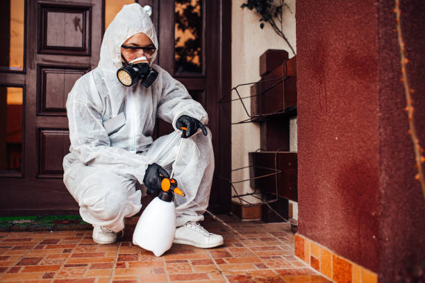 Attic and Crawl Space Rodent Treatment in Coronita